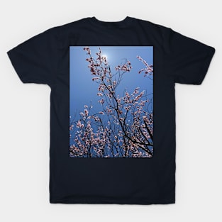 Cherry Blossom T-Shirt